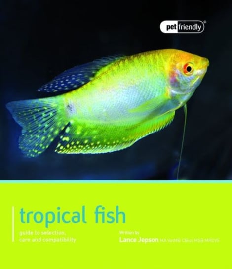 Tropical Fish - Pet Friendly Jepson Lance