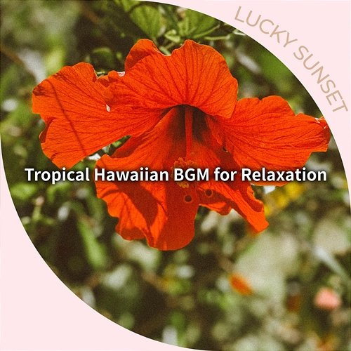Tropical Hawaiian Bgm for Relaxation Lucky Sunset