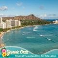 Tropical Hawaiian Bgm for Relaxation Oceanic Oasis