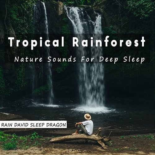 Tropical Rainforest Nature Sounds for Deep Sleep Rain David Sleep Dragon
