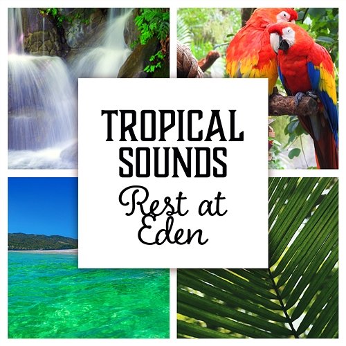 Tropical Soundscapes: Rest at Eden, Slow Breathing, Relax Under Palms, Exotic Island, Find Serenity & Inner Innocence Various Artists