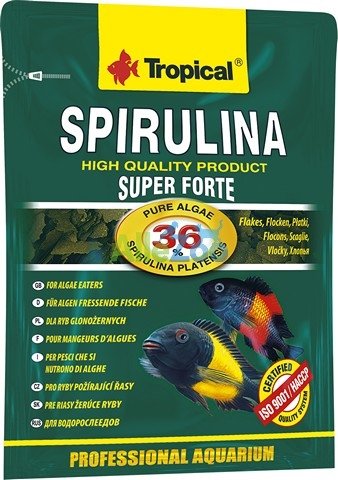 Tropical SUPER SPIRULINA FORTE 36% 12g Tropical