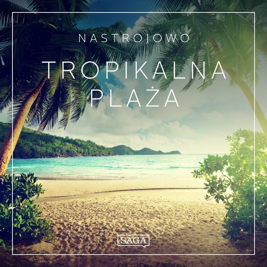Tropikalna plaża. Nastrojowo Broe Rasmus