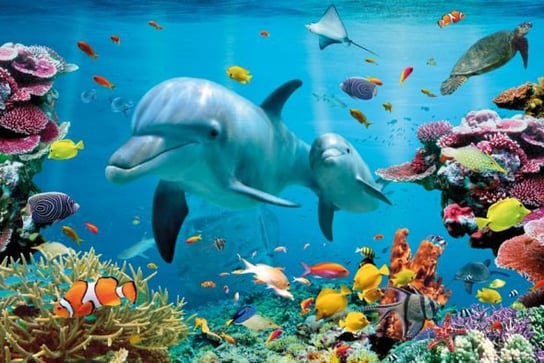 Tropikalny ocean - Delfiny - plakat 91,5x61 cm GB eye
