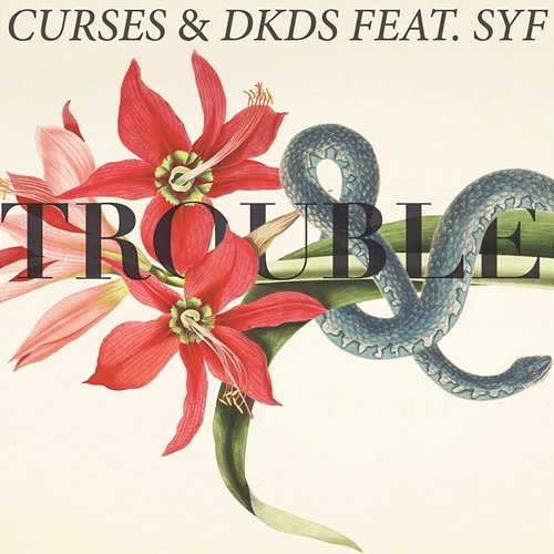 Trouble Curses & DKDS feat. SYF