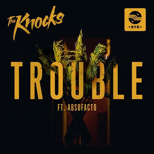 TROUBLE The Knocks