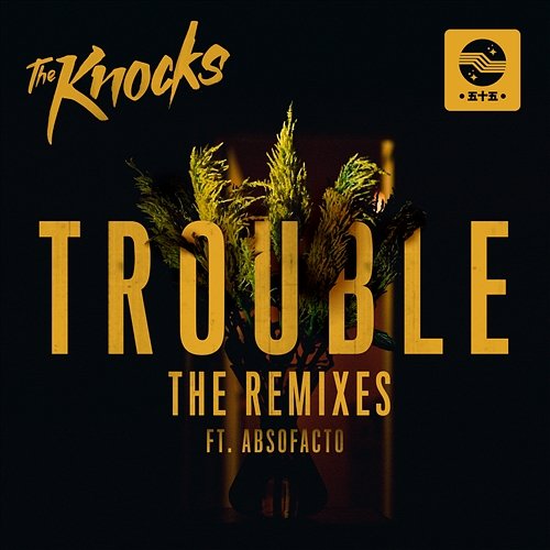 TROUBLE The Knocks