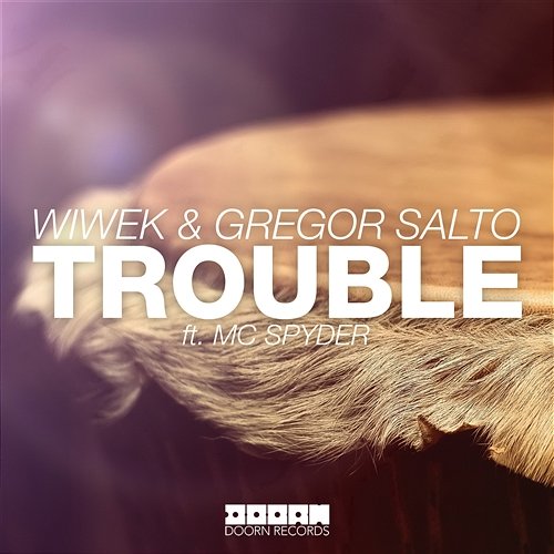 Trouble Wiwek & Gregor Salto
