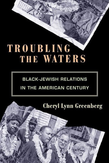 Troubling the Waters Greenberg Cheryl Lynn