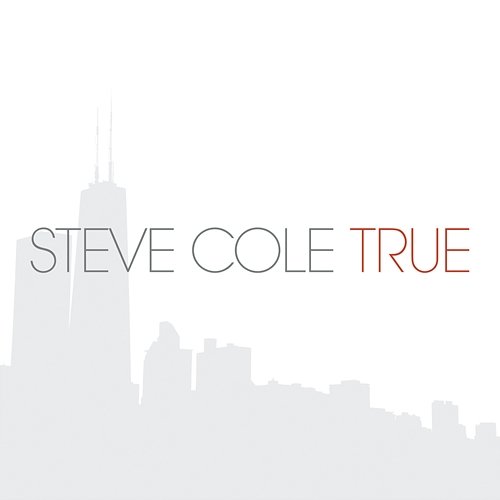 Something About You Steve Cole