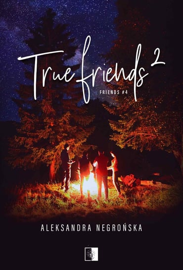 True Friends 2. Friends. Tom 4 - ebook epub Aleksandra Negrońska