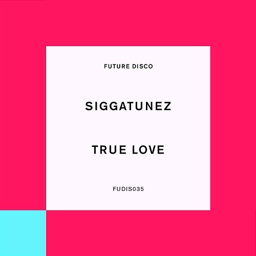 True Love Siggatunez feat. Vany T Fair