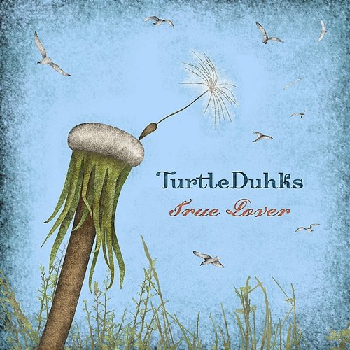 True Lover The TurtleDuhks
