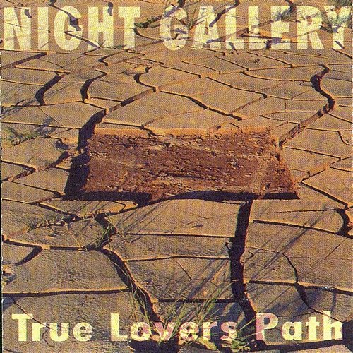 True Lovers Path Night Gallery