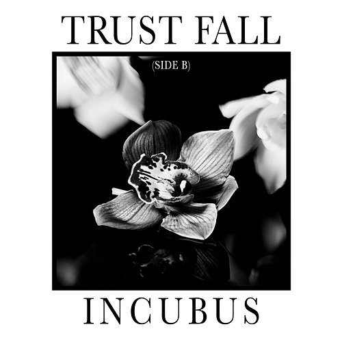 Trust Fall Incubus