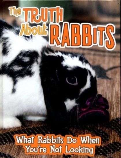 Truth about Rabbits Mary Colson
