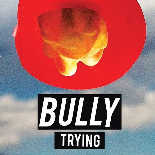 Trying Bully