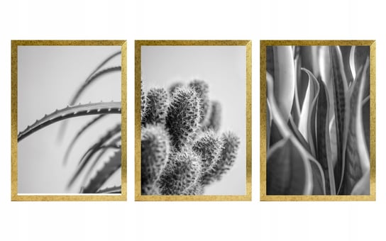 Tryptyk w Ramie MDF Złoty 3*40x60 Retro kaktus Artepoint