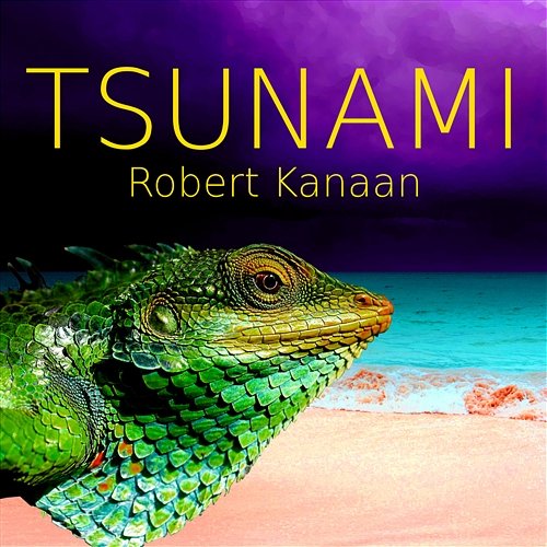 Tsunami Robert Kanaan