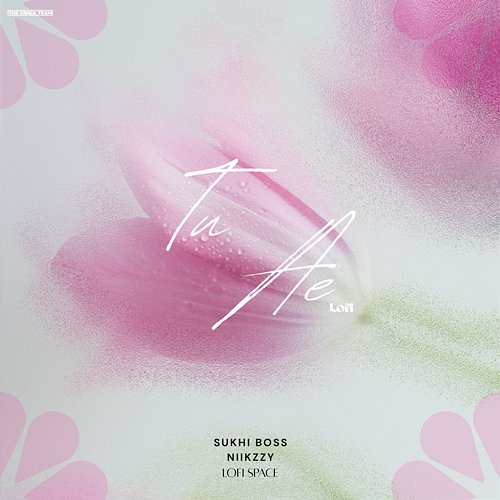 Tu Ae Niikzzy, Lofi Space, Sukhi Boss
