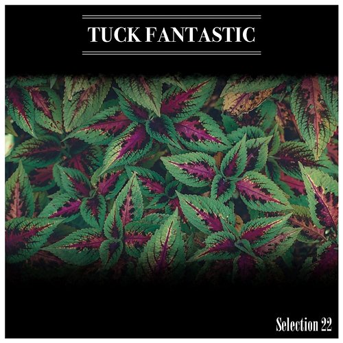 Tuck Fantastic Selection 22 Various Artists