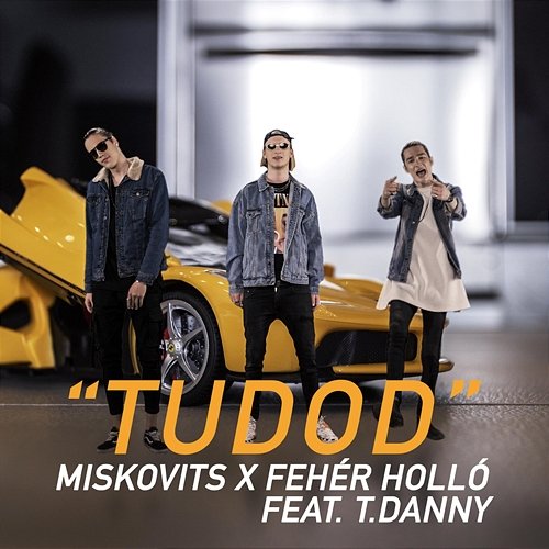 Tudod Fehér Holló, T. Danny, Miskovits
