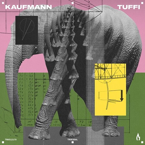 Tuffi Kaufmann (DE)