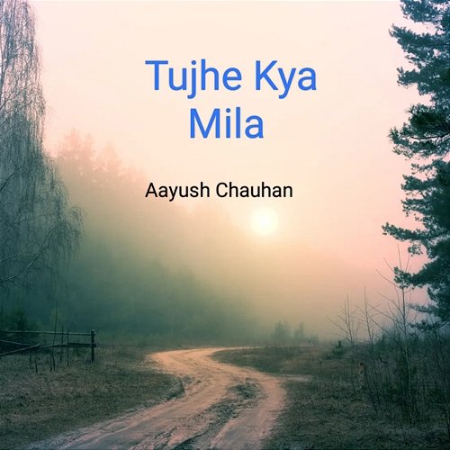 Tujhe Kya Mila Aayush Chauhan