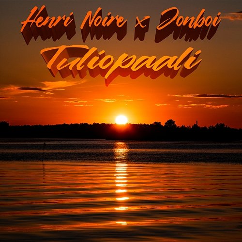 Tuliopaali Henri Noire