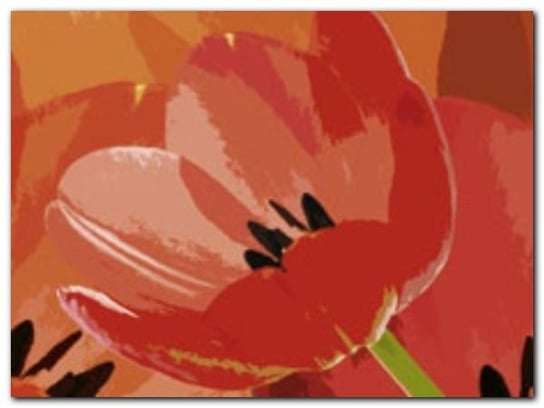 Tulip I plakat obraz 80x60cm Wizard+Genius