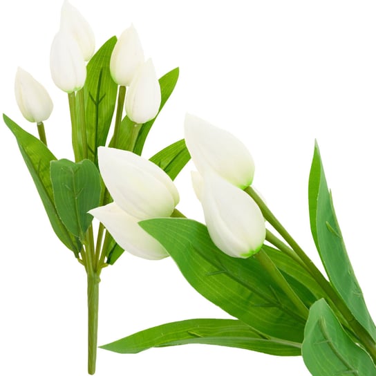Tulipan Bukiet Tulipanów Biały Piękny Jak Żywy MARTOM