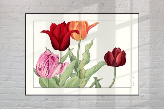 Tulipan Plakat Japonia Grafika Vintage 21X30 Cm (A4) / Dodoprint Dodoprint