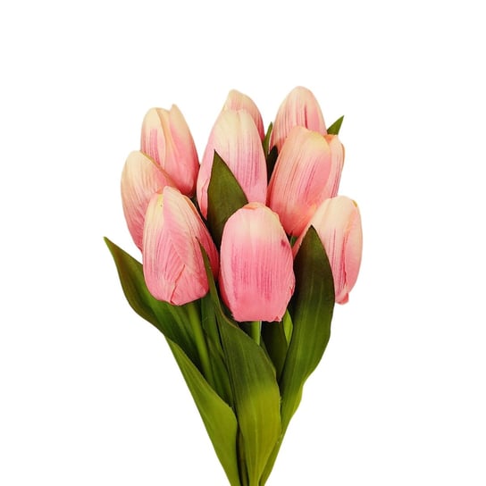 Tulipan pojedynczy kremowo różowy 9 szt Inna marka