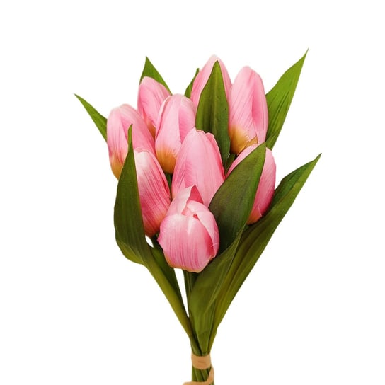 Tulipan pojedynczy różowy 9 szt Inna marka