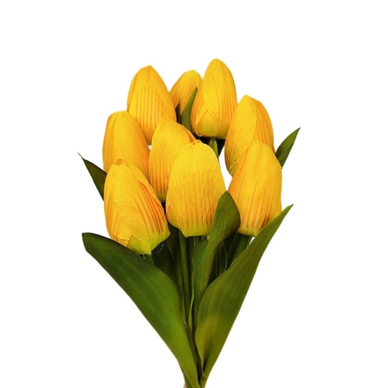 Tulipan pojedynczy żółty 9 szt Inna marka
