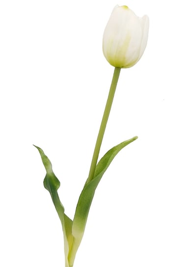 Tulipan silikonowy jak żywy biały gumowy 40 cm rozkwitnięty Inna marka