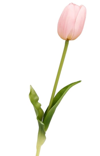 Tulipan silikonowy jak żywy różowy gumowy 40 cm rozkwitnięty Inna marka