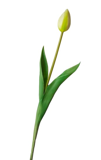 Tulipan Silikonowy Jak Żywy Seledynowy Gumowy 41 Cm Inna marka