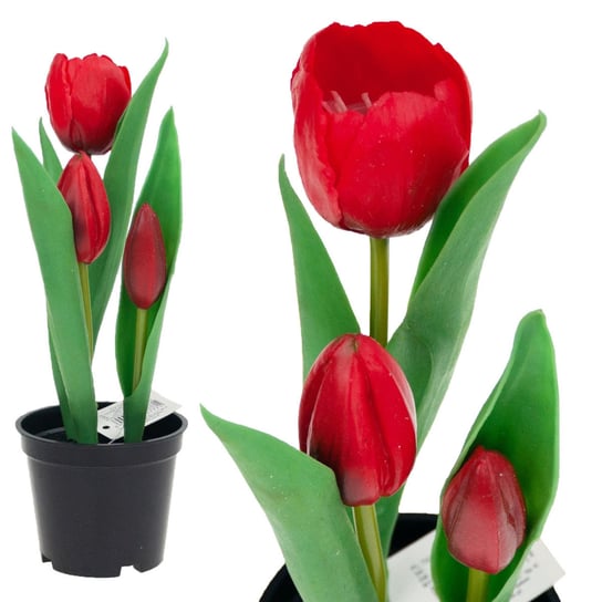 Tulipan Tulipany Gumowane Kwiaty Jak Żywe Premium MARTOM