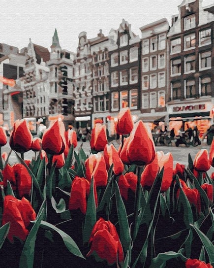 Tulipany Amsterdamu artnapi