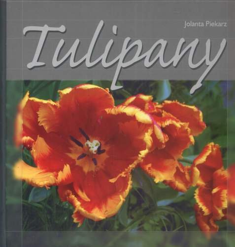 Tulipany Piekarz Jolanta