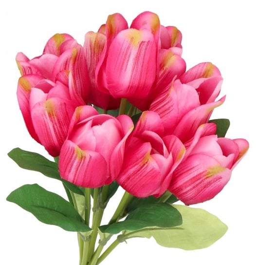 Tulipany Bukiet Tulipanów Gumowane Gumowe Jak Żywe Inny producent