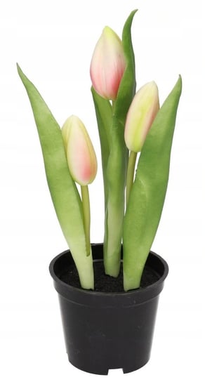 Tulipany Bukiet Tulipanów Kwiaty Gumowe Jak Żywe Inna marka
