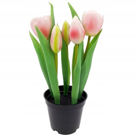 Tulipany Silikonowe Jak Żywe Różowe W Doniczce 5 Sztuk Gumowe 24 Cm Inna marka