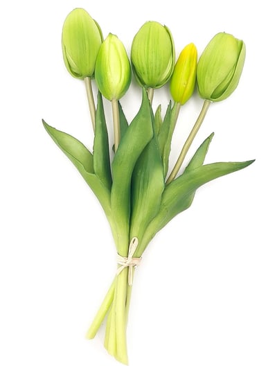 Tulipany silikonowe jak żywe zielone bukiet 5 sztuk gumowe 25 cm Inny producent