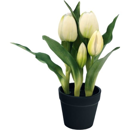 Tulipany w doniczce 5 szt białe 23 cm jak żywe gumowane Saska Garden