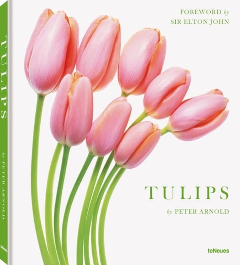 Tulips Opracowanie zbiorowe