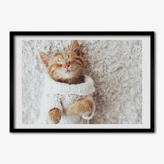Tulup, Foto obraz ramka do pokoju Kotek w swetrze, 70x50 cm Tulup