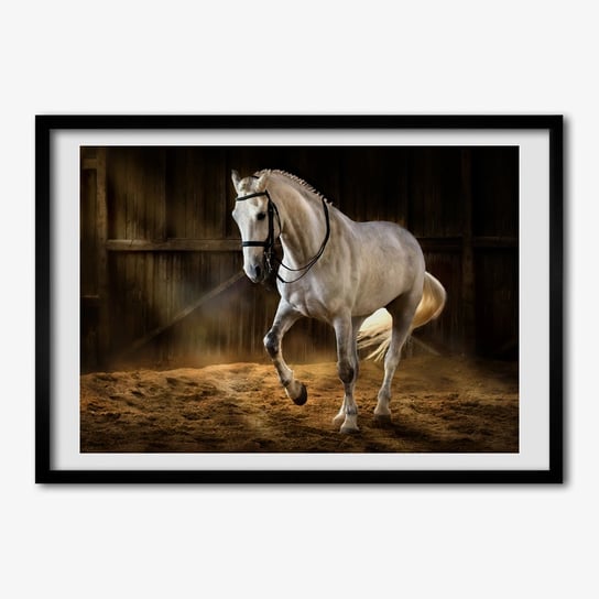 Tulup, Foto obraz z ramką MDF Biały koń w stajni, 70x50 cm Tulup
