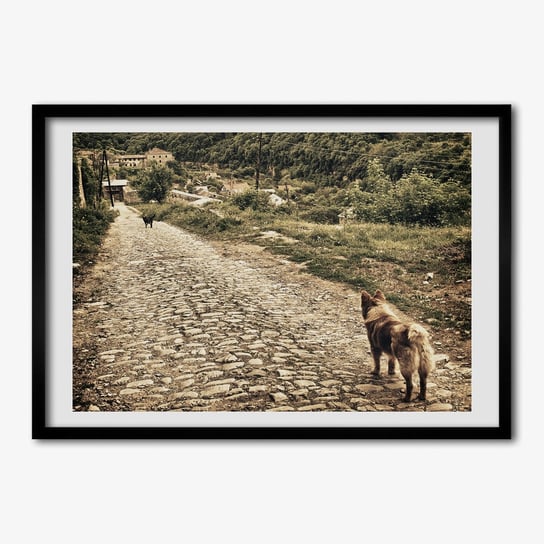 Tulup, Foto obraz z ramką MDF Dwa psy na wzgórzu, 70x50 cm Tulup